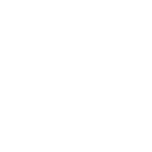 swimnplay_pools_logo_white