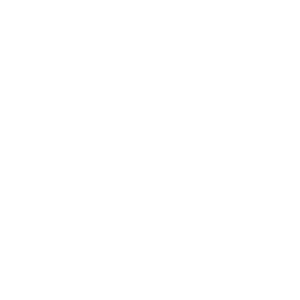 viking_pools_logo_white