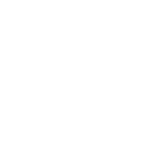 viking_spas_logo_white